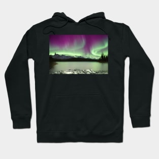 Winter Wonderland Series 08 Hoodie